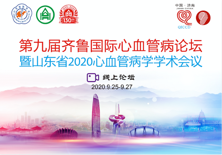 Qilu International Conference on Cardiovascular Disease diagnosis and treatment