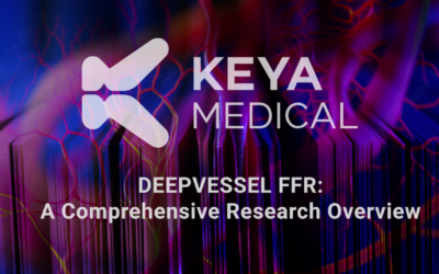 Advancements in AI-based CT-FFR Analysis with DEEPVESSEL FFR: A Comprehensive Research Overview