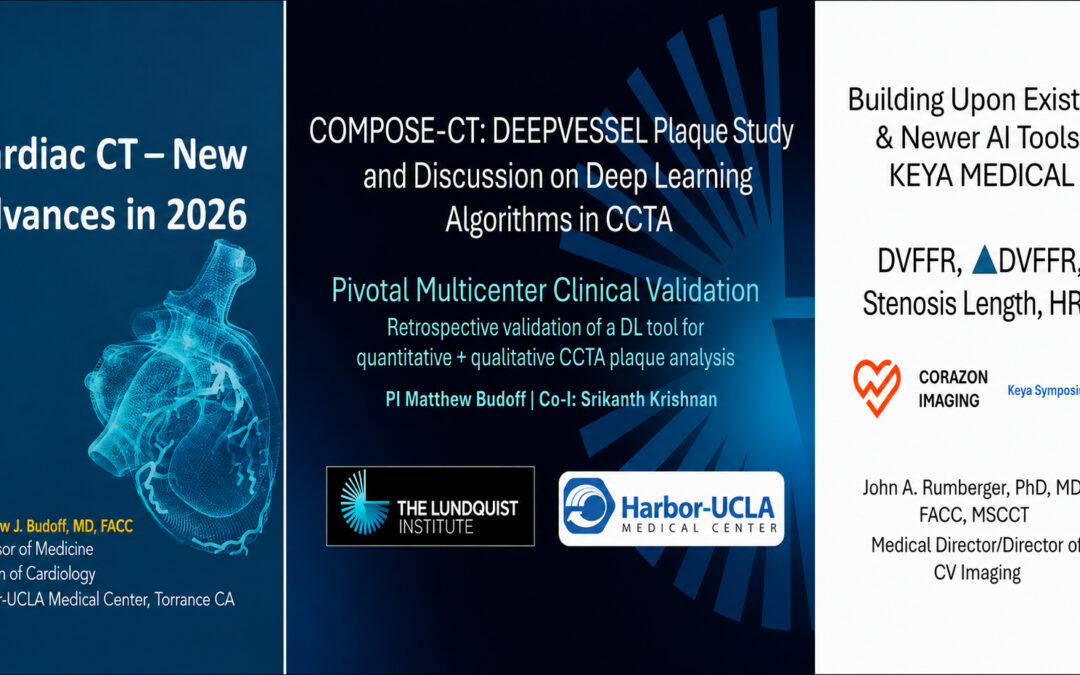 Comprehensive CCTA Assessment with DEEPVESSEL FFR and Plaque Analysis